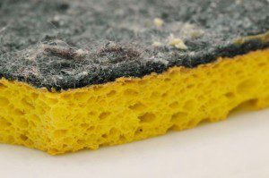 dirty sponge