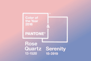 color of the year.fw