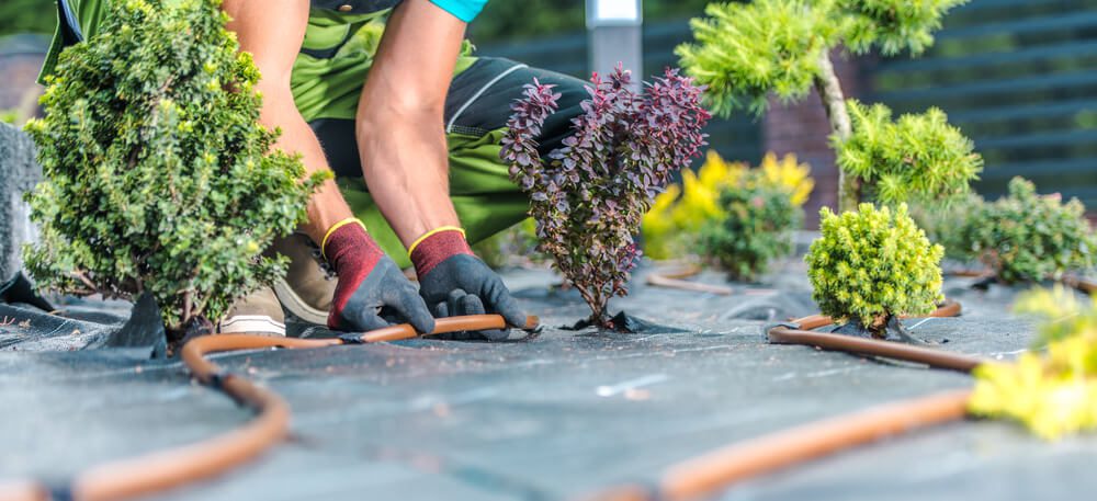 how landscaping increases home value