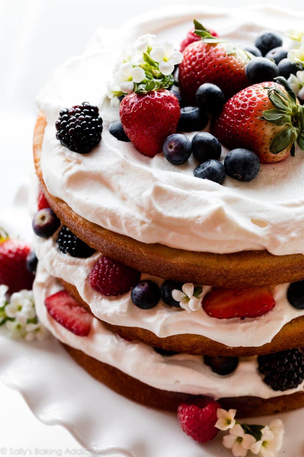 Fresh Berry Cream Cake