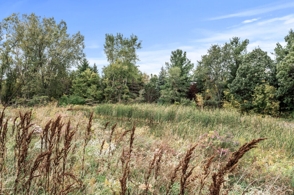 74 9648 8th74 mls