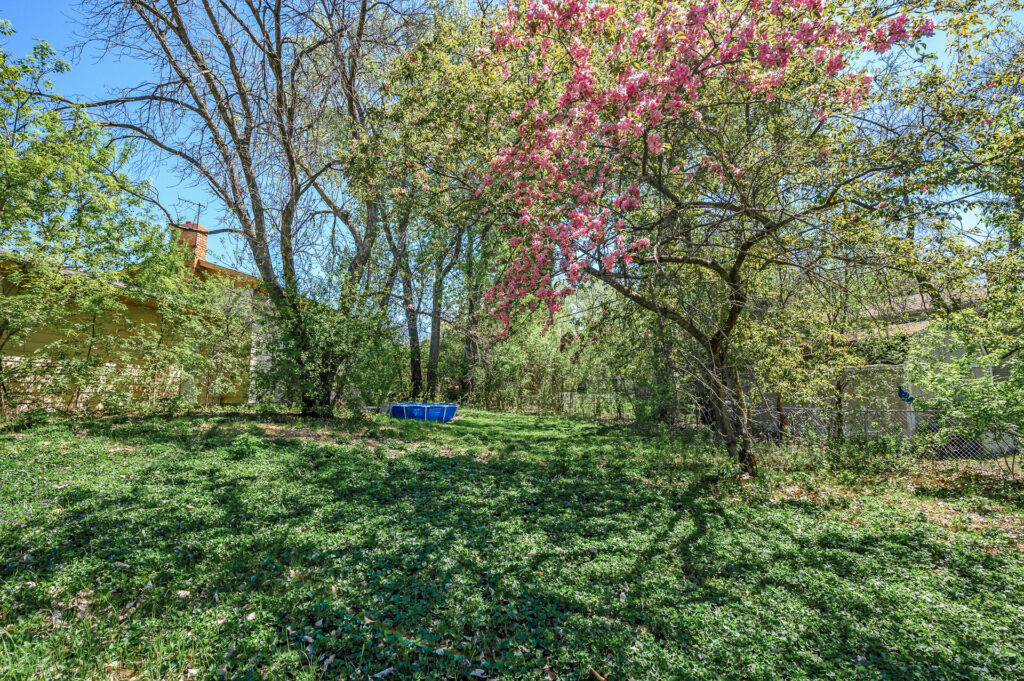 09 4209 81st9 mls